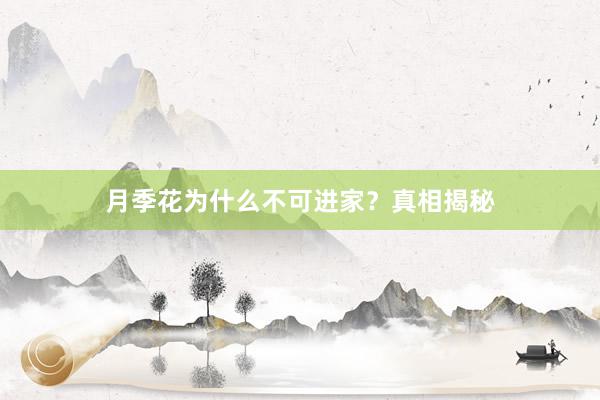 月季花为什么不可进家？真相揭秘