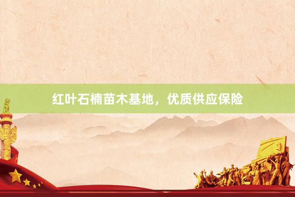 红叶石楠苗木基地，优质供应保险
