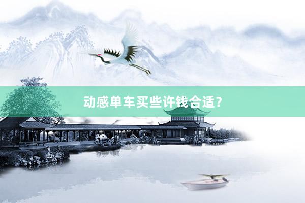 动感单车买些许钱合适?